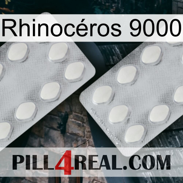 Rhinocéros 9000 17